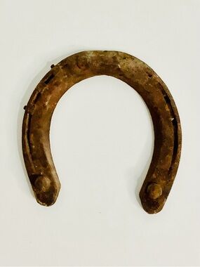Vintage Rustic Lucky Horseshoe